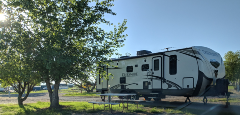RV with trees level site